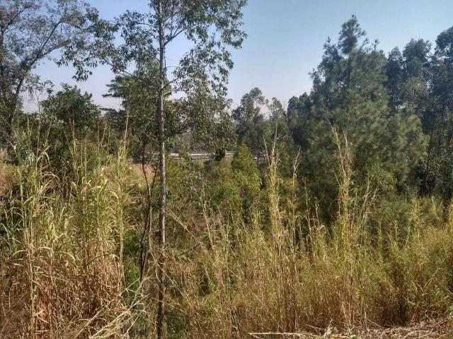 Terreno comercial para Locação em Sorocaba/SP Vila Assis