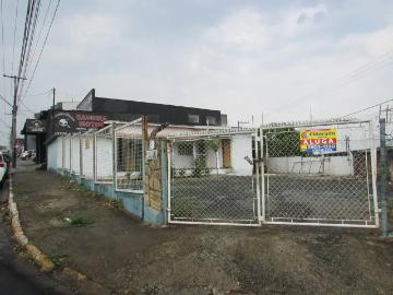 Terreno comercial para Locação em Sumaré/SP Jardim Alvorada