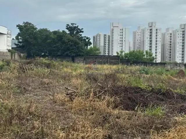 Terreno comercial para Locação em Sumaré/SP Jardim das Palmeiras