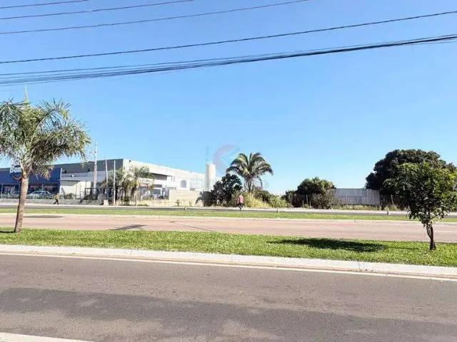 Terreno comercial para Locação em Sumaré/SP Jardim Lucélia