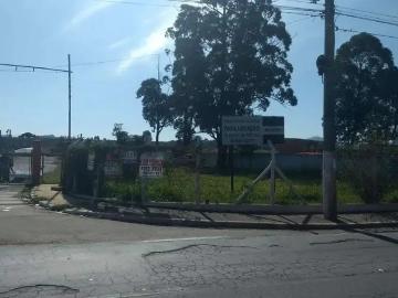 Terreno comercial para Locação em Suzano/SP Vila Amorim