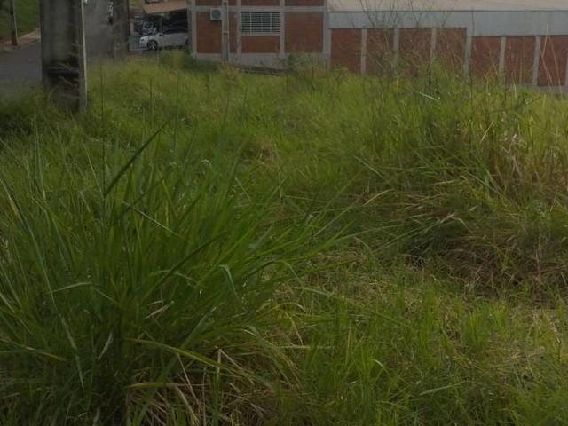 Terreno comercial para Venda em Mandaguaçu/PR Jardim Atlântico