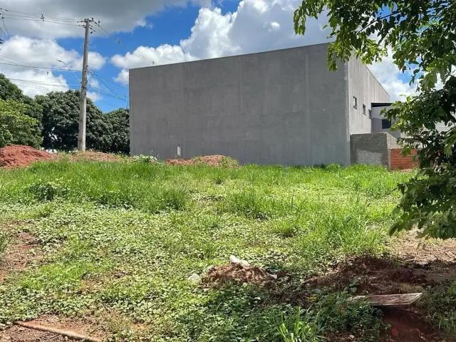 Terreno comercial para Venda em Mandaguaçu/PR Jardim São Rafael