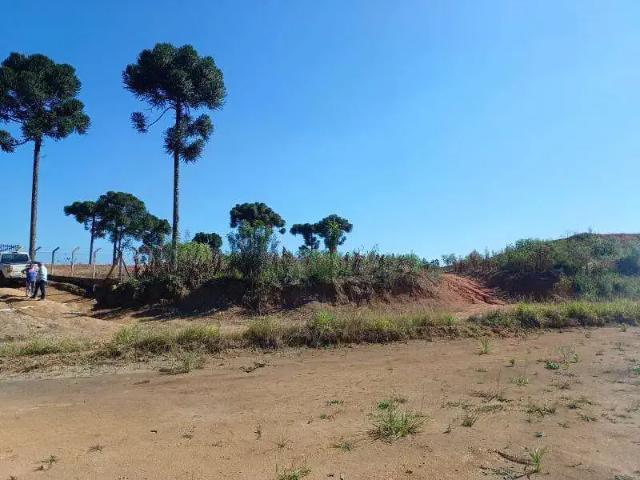 Terreno comercial para Venda em Mandirituba/PR Área Rural 1 Quartos