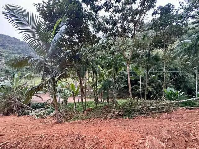 Terreno comercial para Venda em Massaranduba/PB Centro