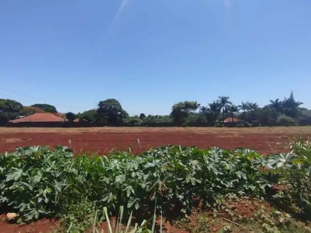 Terreno comercial para Venda em Marialva/PR Parque Industrial