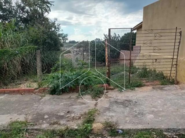 Terreno comercial para Venda em Marília/SP Jardim Cavallari