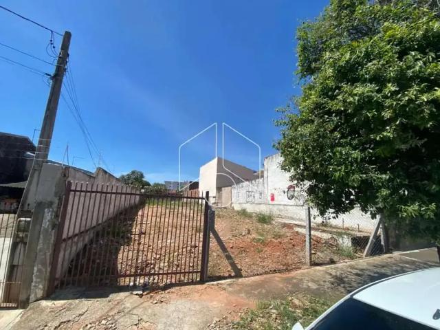 Terreno comercial para Venda em Marília/SP Marília