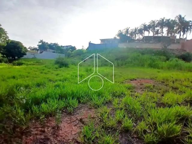 Terreno comercial para Venda em Marília/SP Senador Salgado Filho