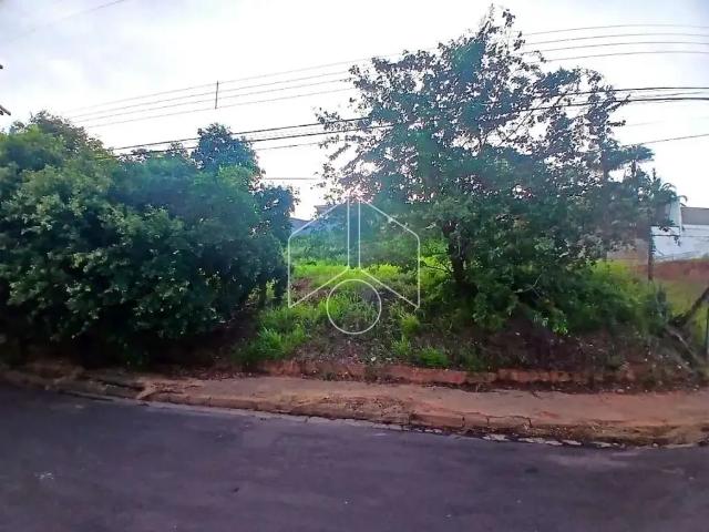 Terreno comercial para Venda em Marília/SP Senador Salgado Filho