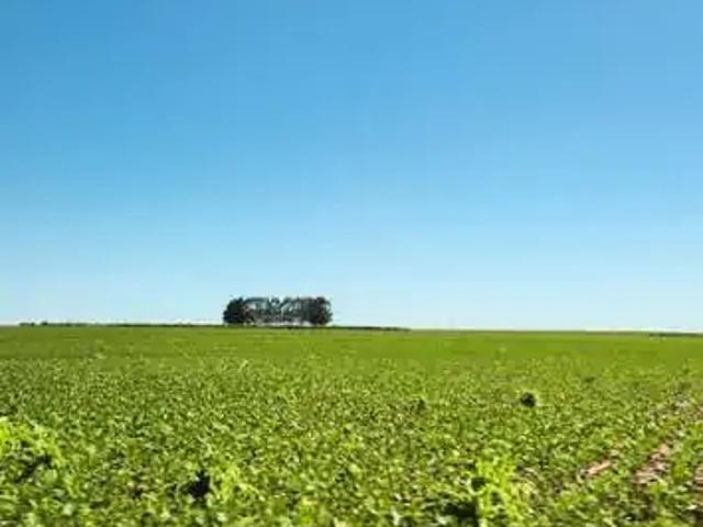 Terreno comercial para Venda em Maringá/PR Chácaras Aeroporto