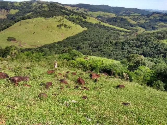 Terreno comercial para Venda em Marquinho/PR Zona Rural