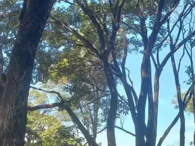 Terreno comercial para Venda em Mira Estrela/SP Zona Rural