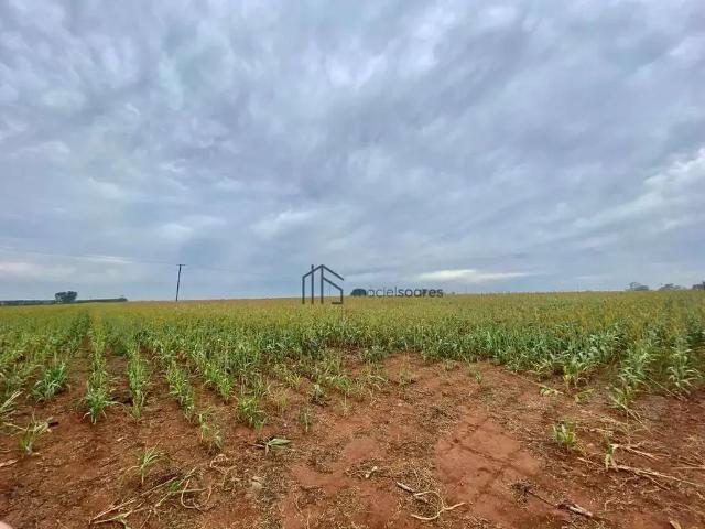 Terreno comercial para Venda em Mogi Mirim/SP Área Rural de Mogi Mirim