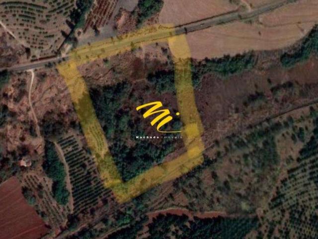 Terreno comercial para Venda em Mogi Mirim/SP Distrito Industrial I José Marangoni