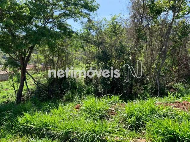 Terreno comercial para Venda em Moeda/MG Vieira De Cima