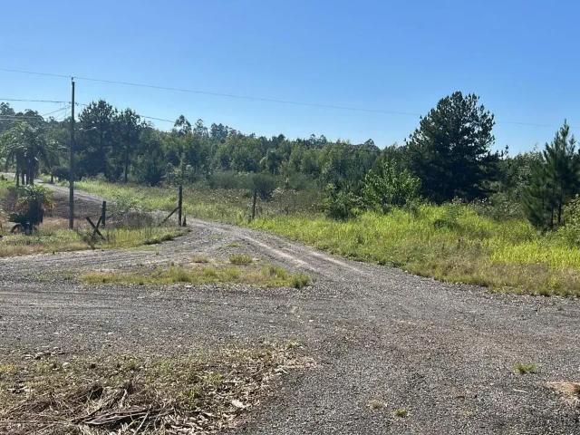 Terreno comercial para Venda em Montenegro/RS Aeroclube