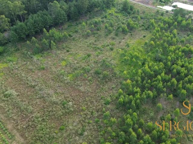 Terreno comercial para Venda em Montenegro/RS Aeroclube