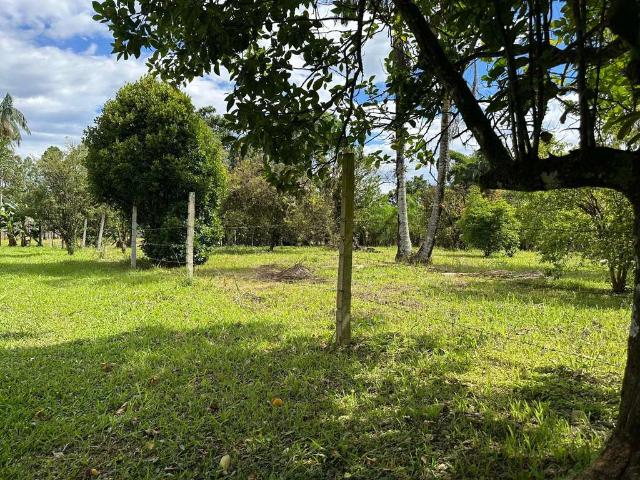 Terreno comercial para Venda em Morretes/PR Anhaia