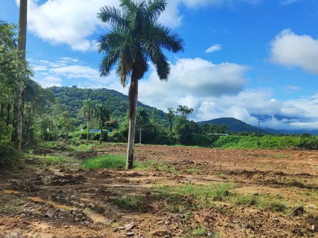 Terreno comercial para Venda em Morretes/PR Marta