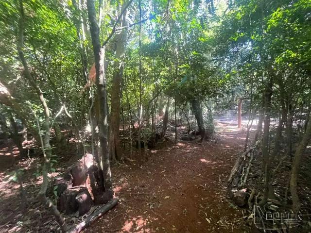 Terreno comercial para Venda em Morro Reuter/RS Linha Gorgen