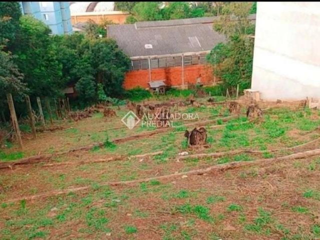 Terreno comercial para Venda em Novo Hamburgo/RS Canudos