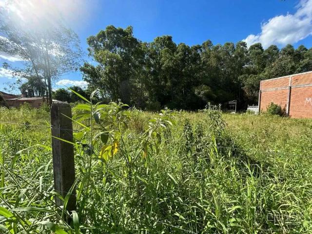 Terreno comercial para Venda em Novo Hamburgo/RS Rincão