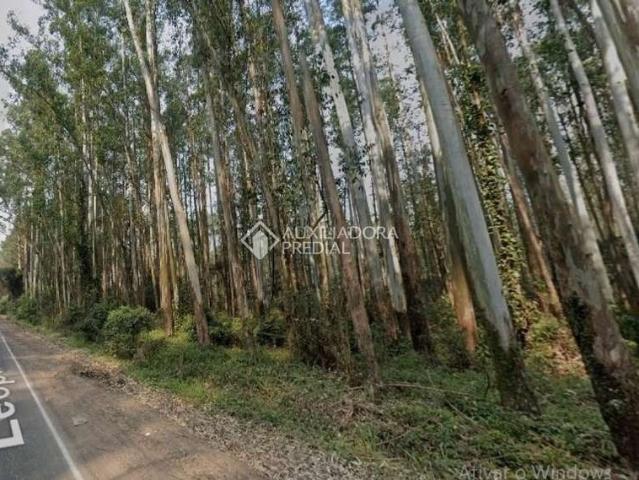 Terreno comercial para Venda em Novo Hamburgo/RS Santo Afonso