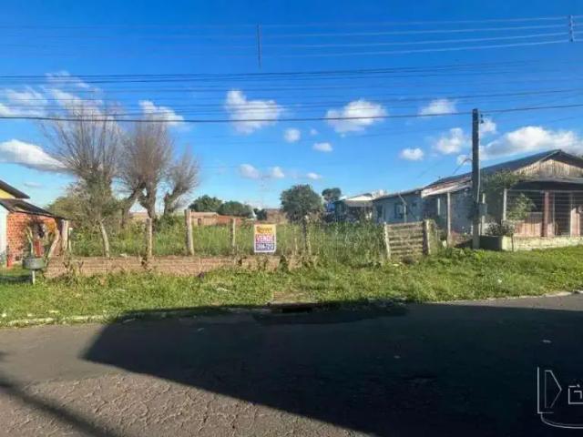 Terreno comercial para Venda em Novo Hamburgo/RS Santo Afonso