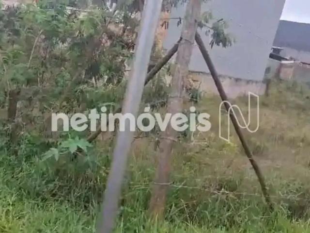Terreno comercial para Venda em Nova Lima/MG Jardim Canadá