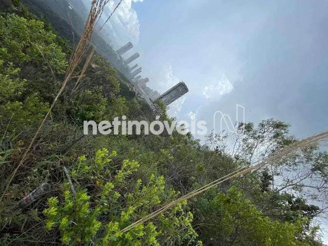 Terreno comercial para Venda em Nova Lima/MG Jardim da Torre