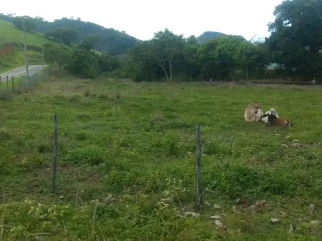 Terreno comercial para Venda em Atílio Vivácqua/ES Centro