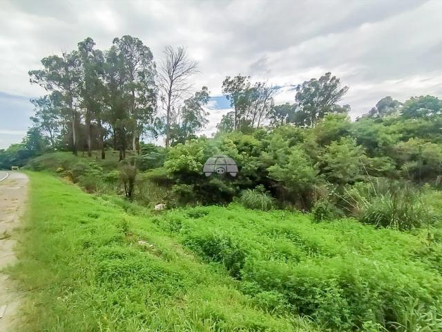 Terreno comercial para Venda em Almirante Tamandaré/PR Jardim Alvorada