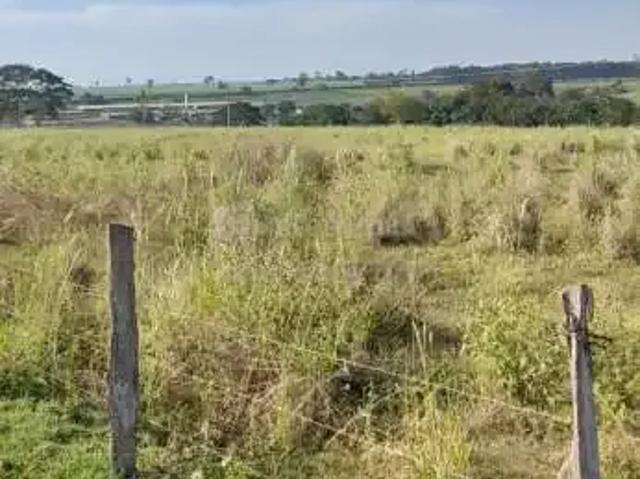 Terreno comercial para Venda em Álvares Florence/SP Centro