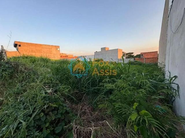 Terreno comercial para Venda em Americana/SP Loteamento Residencial Jardim dos Pinheiros