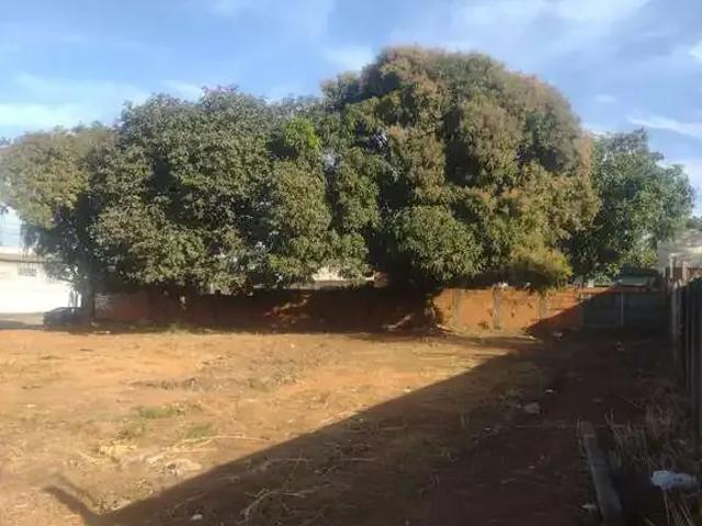 Terreno comercial para Venda em Aparecida de Goiânia/GO Setor Morada dos Pássaros