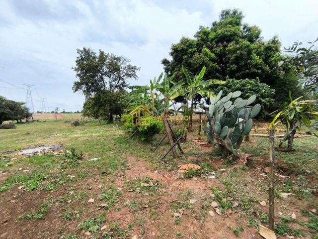 Terreno comercial para Venda em Bady Bassitt/SP Zona Rural