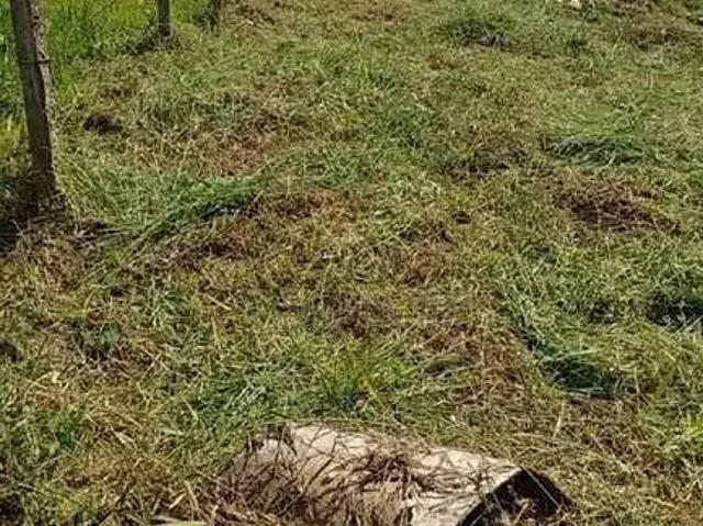 Terreno comercial para Venda em Balneário Piçarras/SC Nossa Senhora da Paz