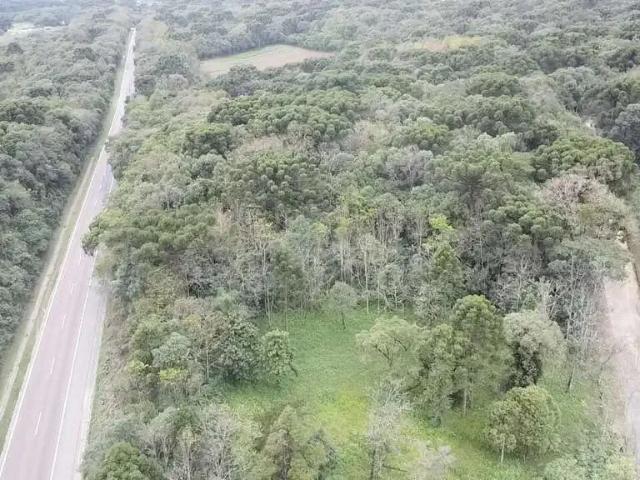 Terreno comercial para Venda em Balsa Nova/PR Bugre