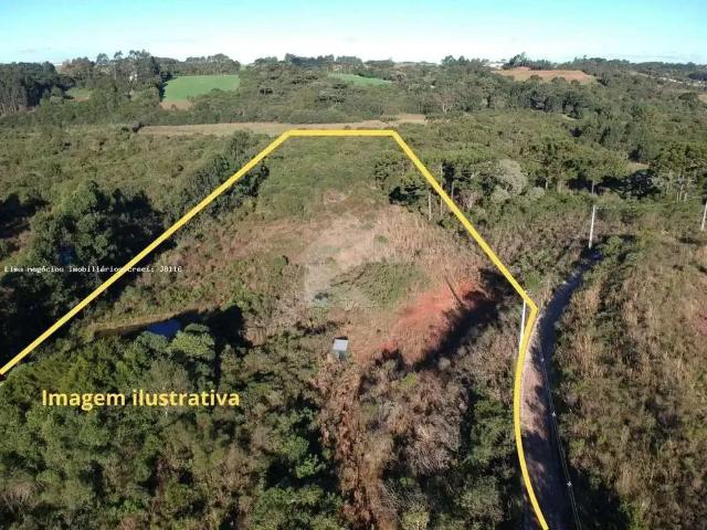 Terreno comercial para Venda em Balsa Nova/PR Campo do Meio