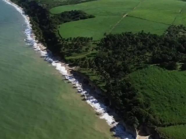 Terreno comercial para Venda em Barra de São Miguel/AL Barra Mar