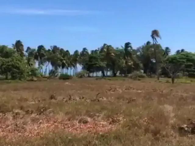 Terreno comercial para Venda em Barra de Santo Antônio/AL Centro