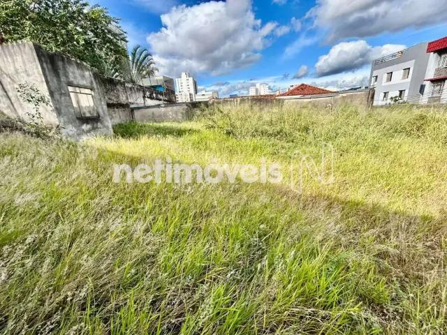 Terreno comercial para Venda em Belo Horizonte/MG Colégio Batista