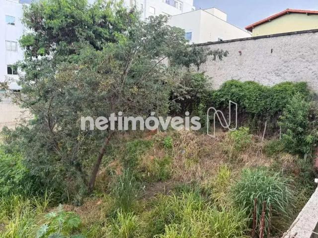Terreno comercial para Venda em Belo Horizonte/MG Castelo