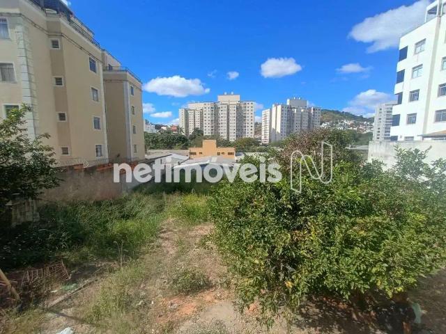 Terreno comercial para Venda em Belo Horizonte/MG Castelo