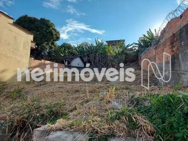Terreno comercial para Venda em Belo Horizonte/MG Céu Azul