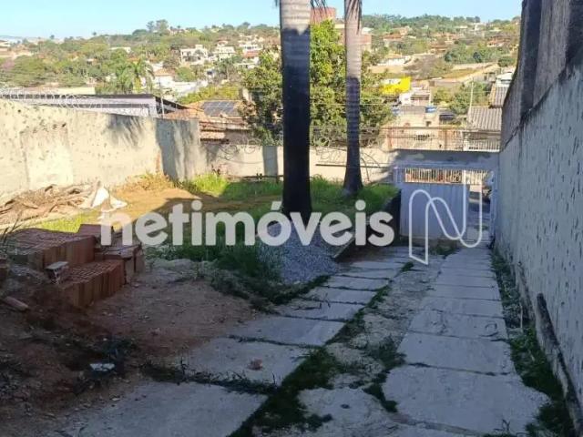 Terreno comercial para Venda em Belo Horizonte/MG Céu Azul