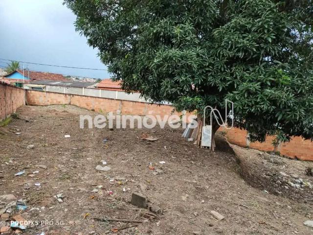 Terreno comercial para Venda em Belo Horizonte/MG Céu Azul