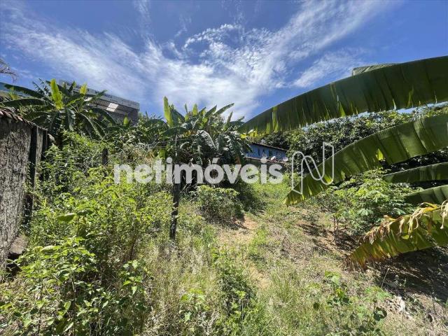 Terreno comercial para Venda em Belo Horizonte/MG Céu Azul