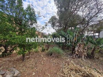 Terreno comercial para Venda em Belo Horizonte/MG Cinquentenario